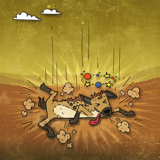 Image img_p10_r1